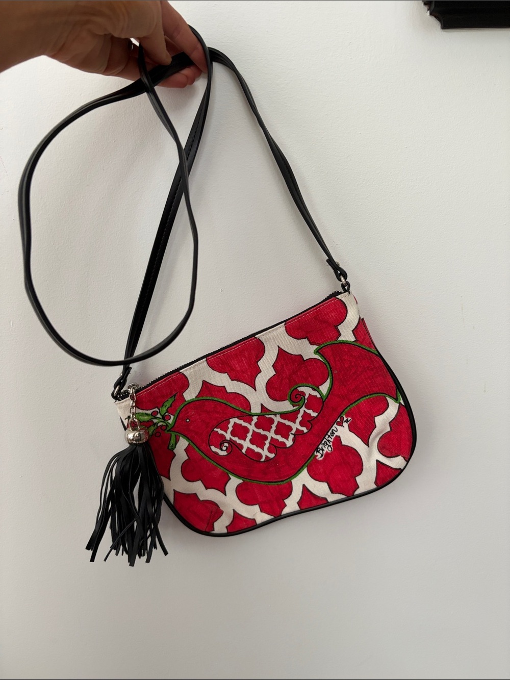 Red Paisley Crossbody Bag with Tassel